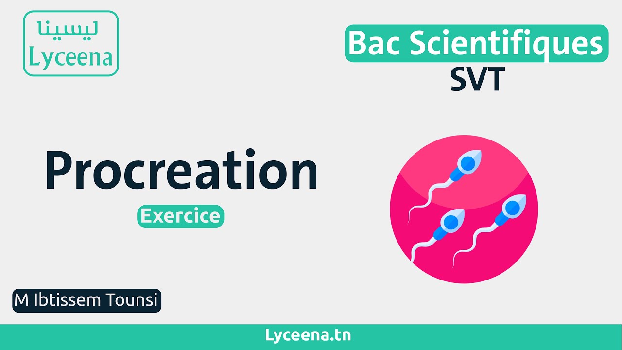 Correction d'exercice : Procr&eacute;ation l Bac Scientifiques