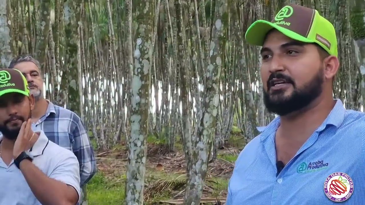 Dicas para cultivo de açaí, com Paulo Herculano