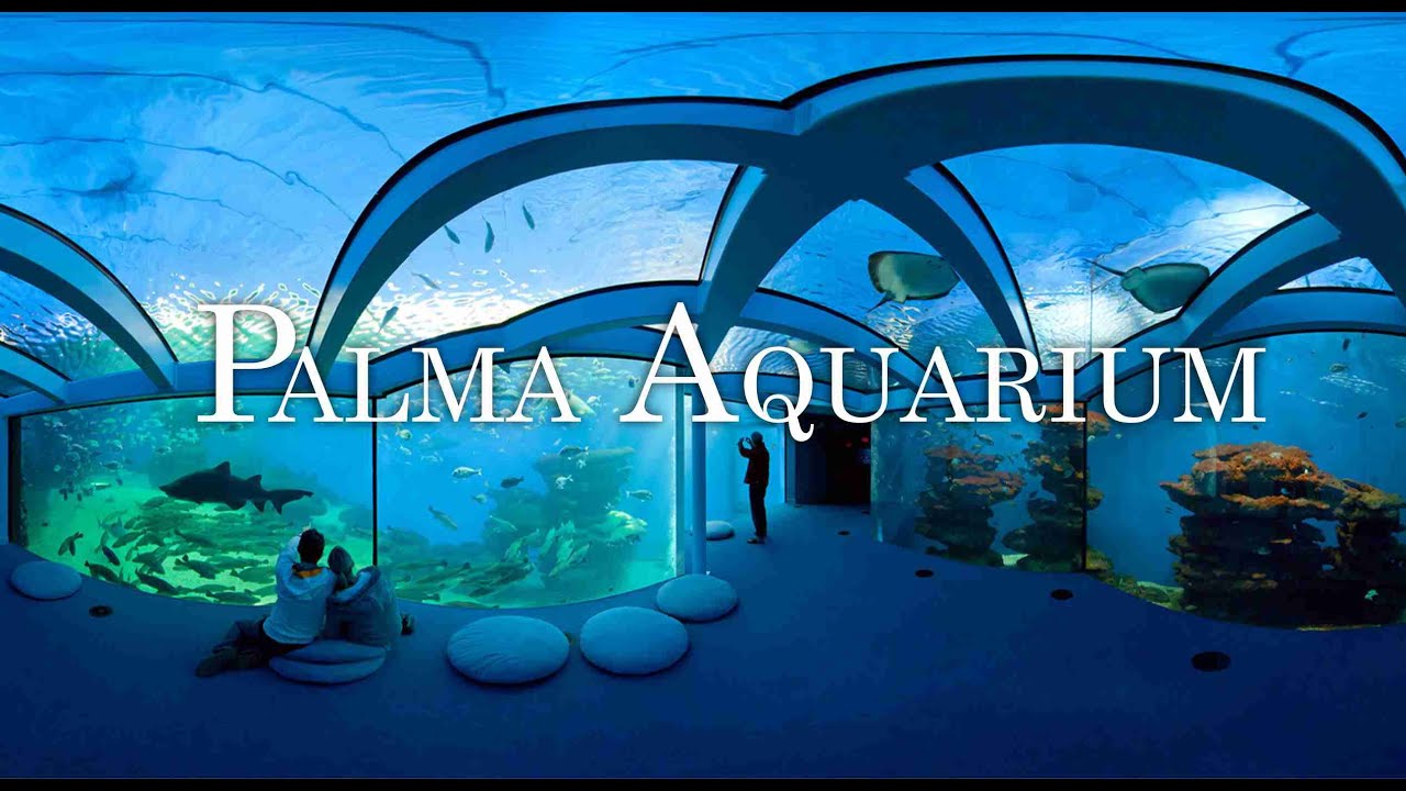 Palma Aquarium 4K  I  The Aquarium of the Balearic Islands