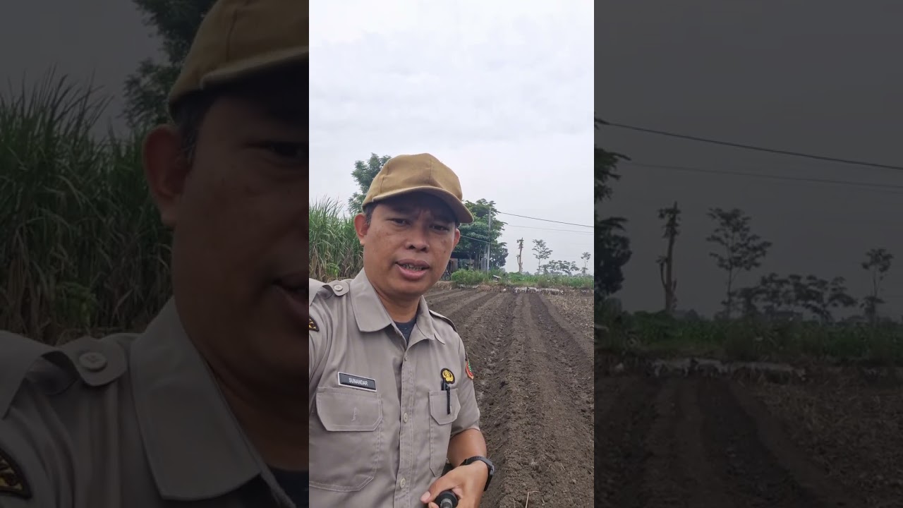 PPL Sobat Tani, Tancap Gas Tanam Bawang Merah di bulan Ramadhan 