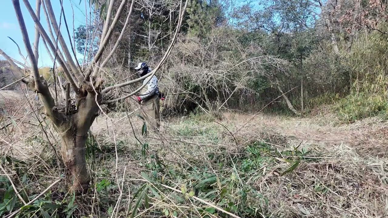 耕作放棄地（東）、法面側の残りを刈る25㏄エンジン草刈り機、３枚刃使用