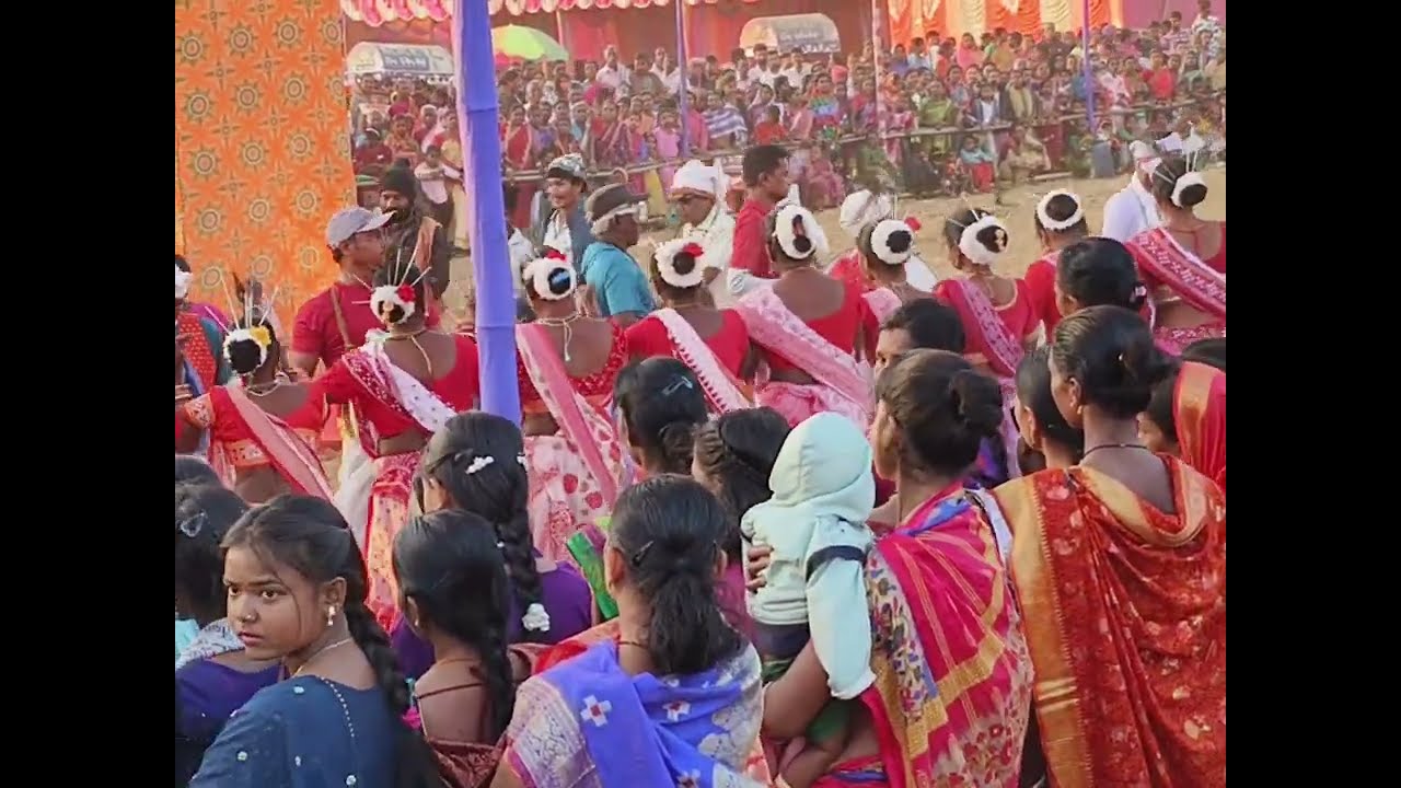 #Mundari caltural#ମୁଣ୍ଡା ସଂସ୍କୃତି #mayurbhanj#Senge susun