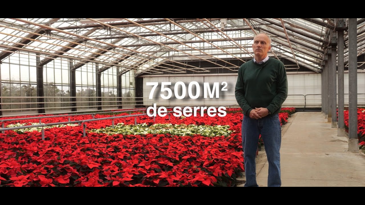 La chaufferie bois de la serre horticole de Silly-le-Long (60)