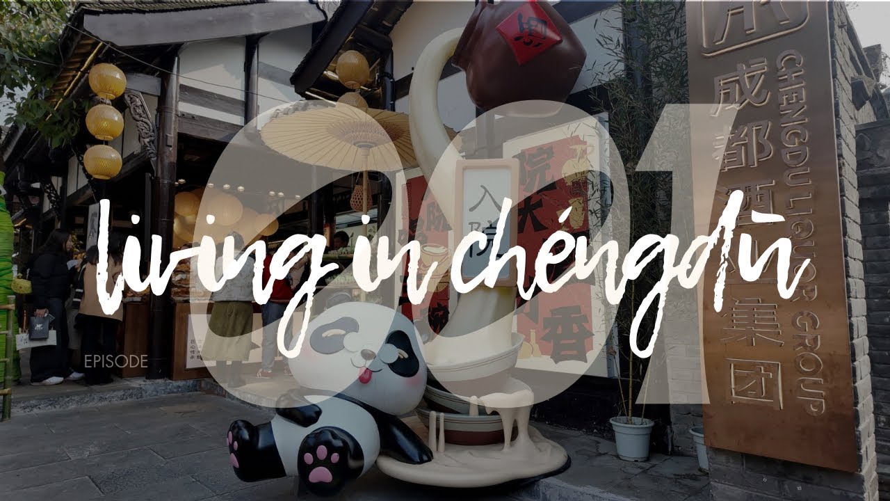 winter diaries in chengdu🇨🇳| chengdu zoo, grocery shopping, kuanzhai alleys