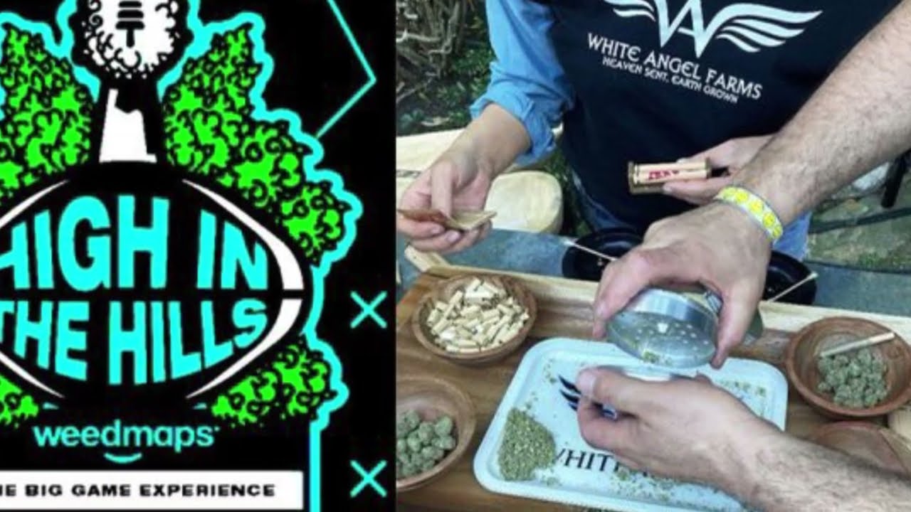 CHRONIC Sesh 💨🎥 @weedmaps #weedmaps @immersia.live#immersialive @weedfeed #weedfeed @whiteangelfarms