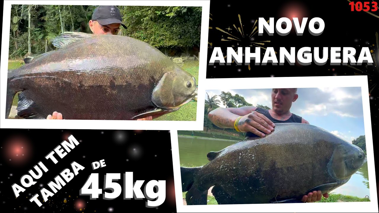 AQUI TEM TAMBA DE 45 KILOS - PESQUEIRO NOVO ANHANGUERA - Programa Fishingtur 1053