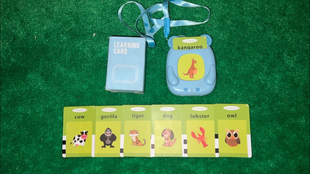 Talking Flash Cards for Toddlers Ages 2–6 | Interactive Educational Learning Toy for Kids