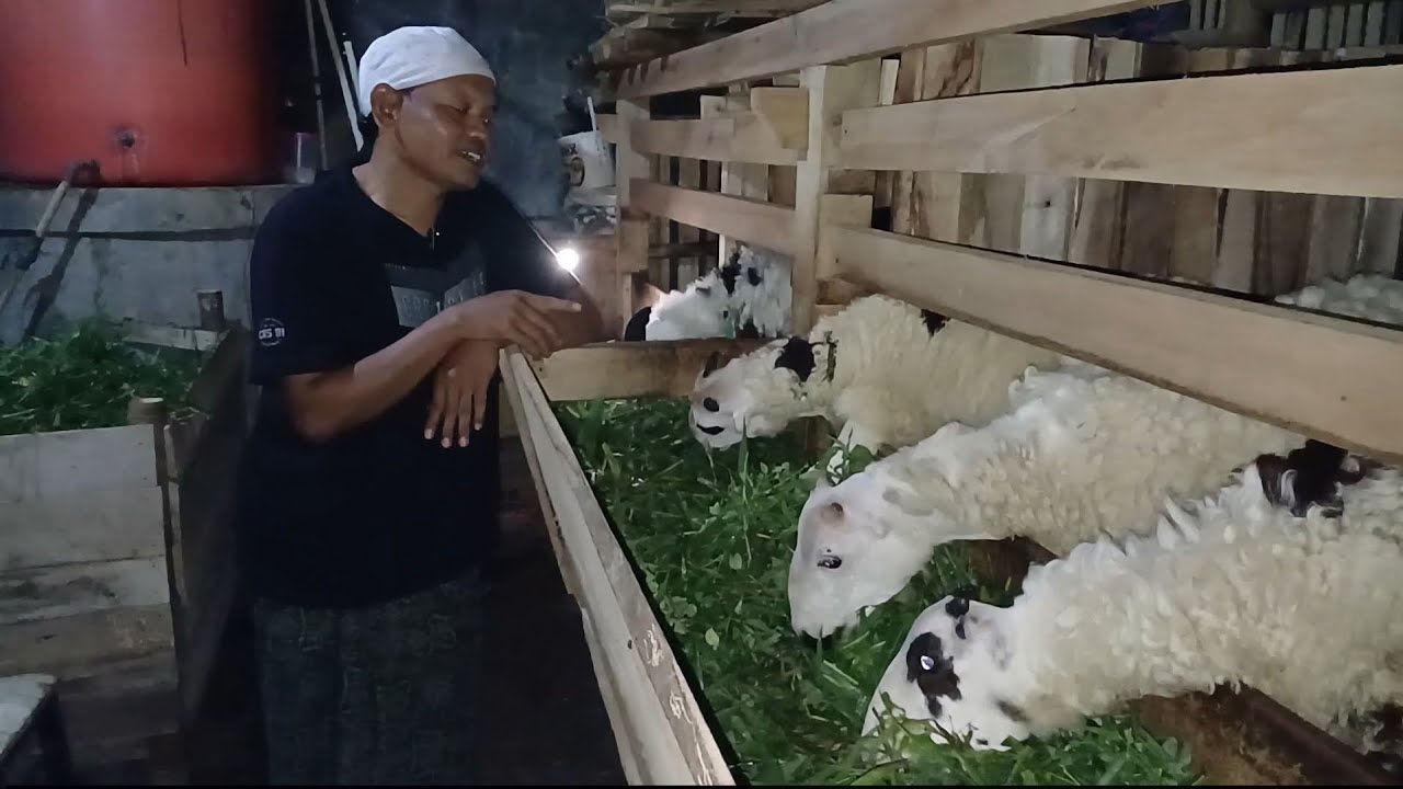 TESTIMONI PAK H ENDIN PARAKANSALAK SUKABUMI
