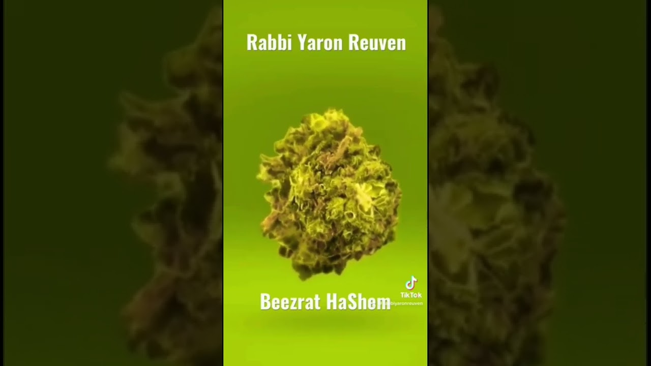 When Does Torah Allow You  To Use Marijuana? #RabbiYaronReuven #CBD #CVS