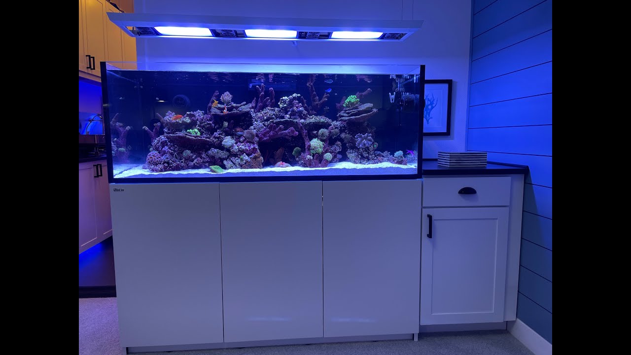 Red Sea Reefer 525 XL