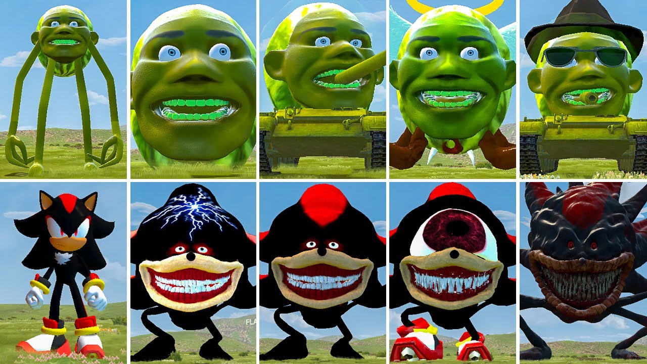 ALL CURSED LIN GANG MELON VS ALL ZOOCHOSIS SONIC SHADOW CURED ? In Garry's Mod!,...