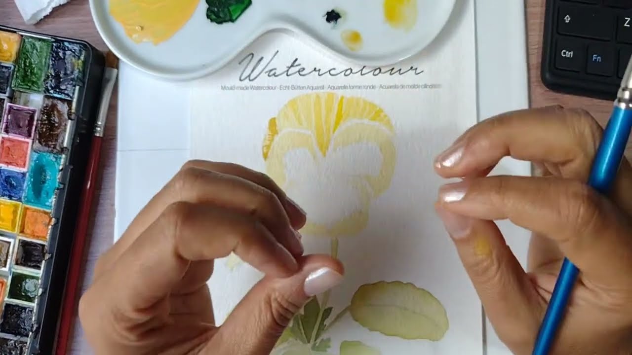 Magia da Cor está ao vivo!