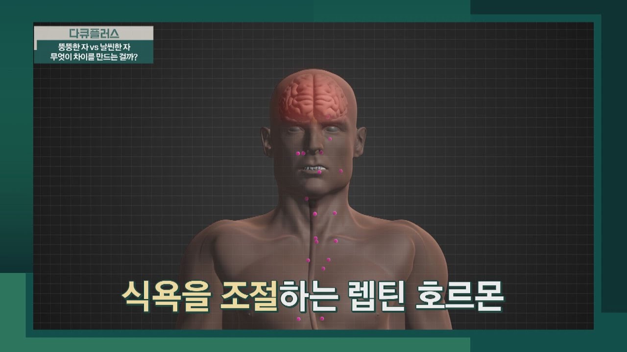뇌에 작용해 식욕을 조절하는 역할 '렙틴 호르몬' 다큐 플러스(docuplus) 220회 | JTBC 220619 방송