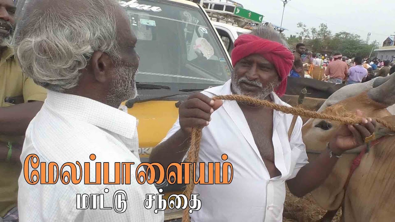 Melapalayam  mattu santhai | மேலப்பாளையம் மாட்டு சந்தை