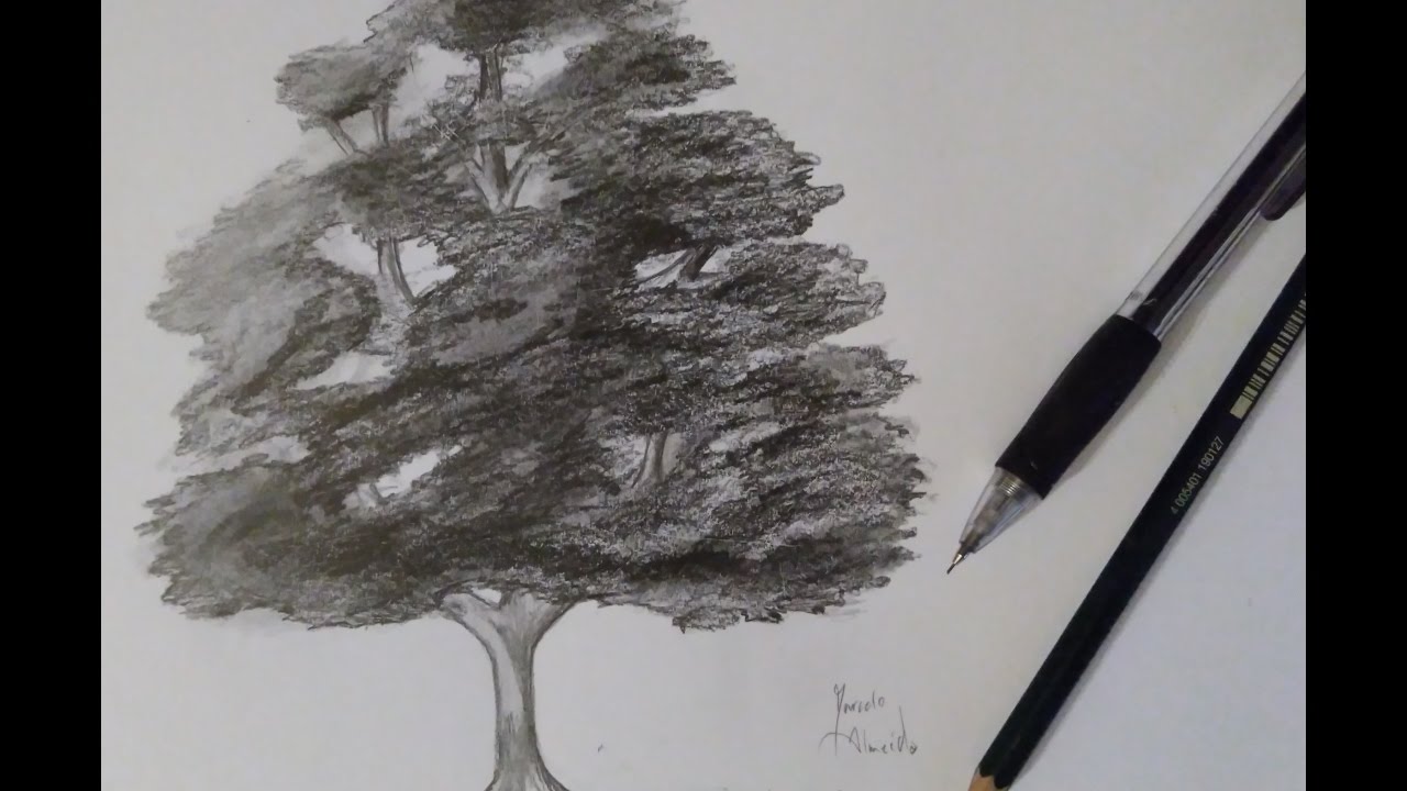Como desenhar uma Árvore Realista - Passo a Passo