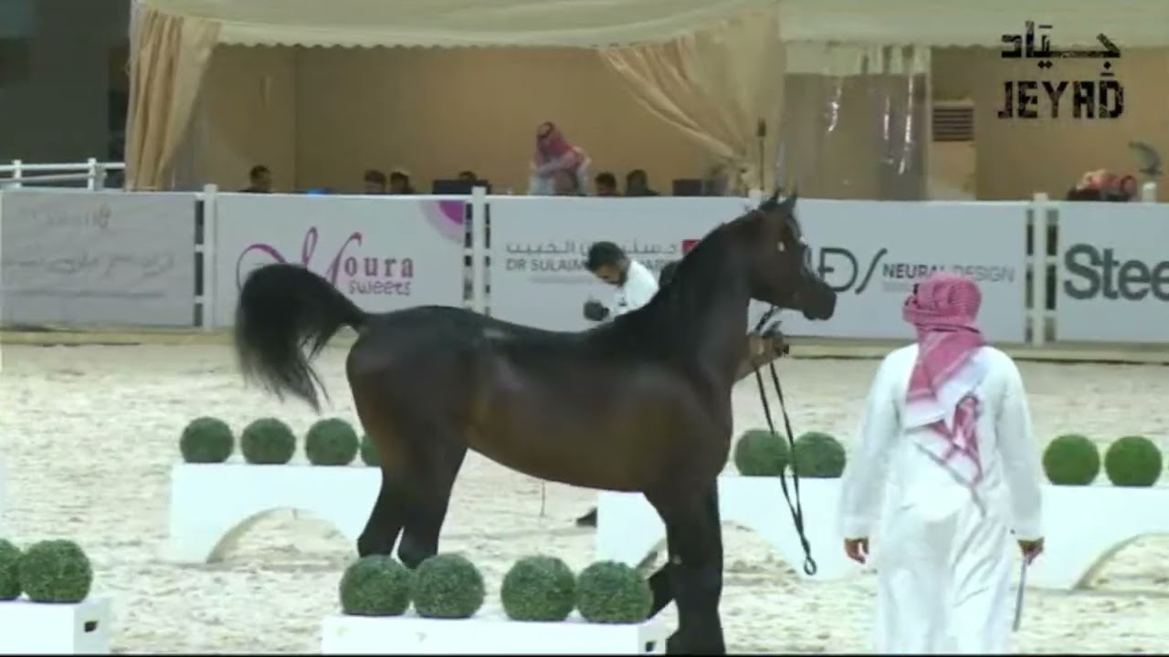 KINAN AL KHALED