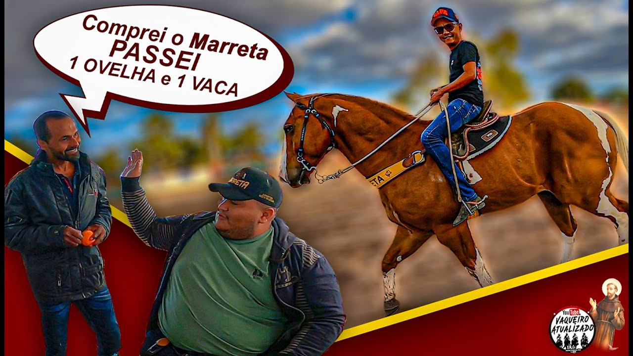 Cavalo Marreta Valorizou - Veja a História -
