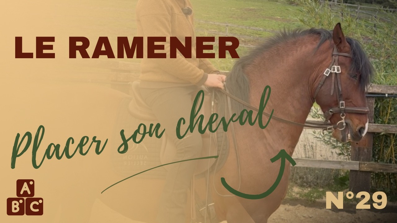 ⭐ comment placer son cheval, le ramener : principes et mise en pratique ⭐