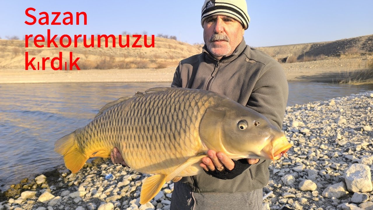 2 Şubat 2025 Rekor sazanımızı çektik