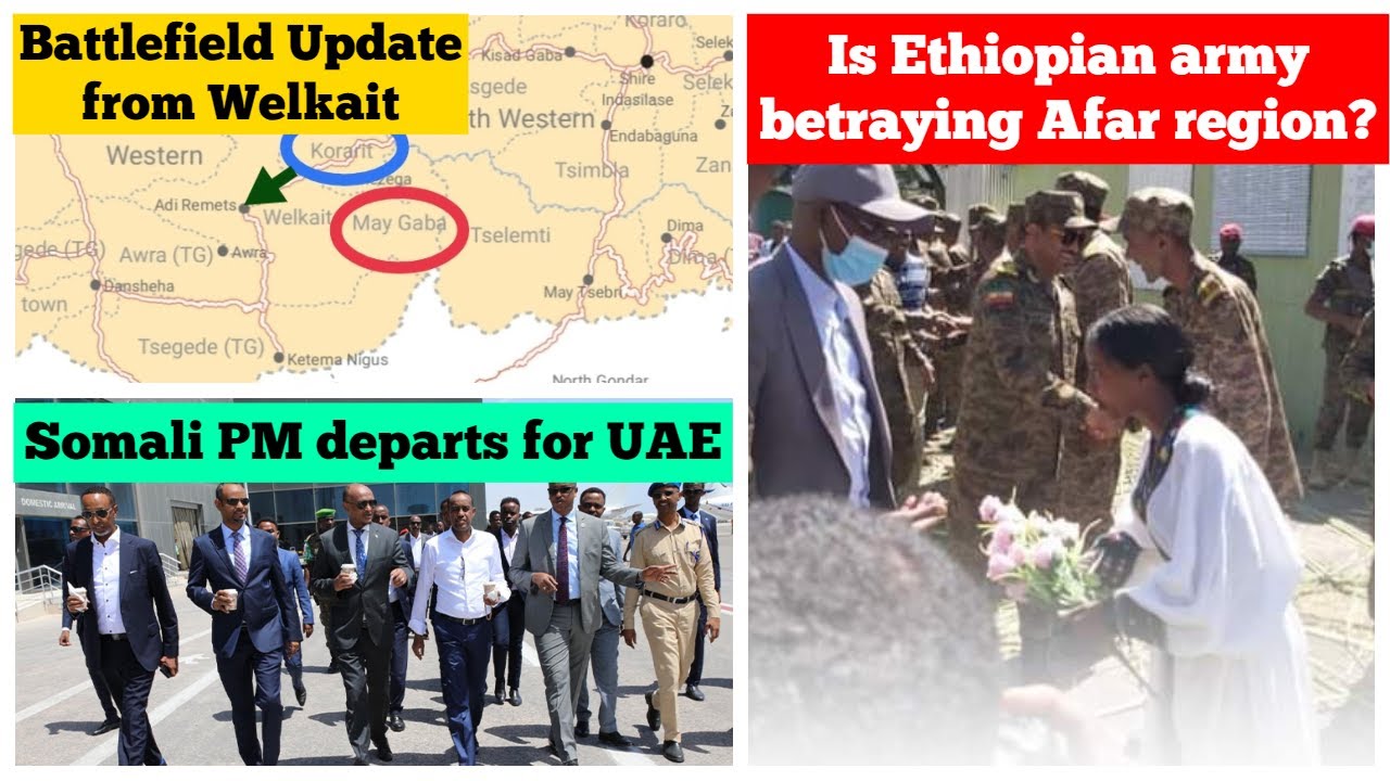 Welkait Tigray Amhara | Afar ENDF | Somalia UAE