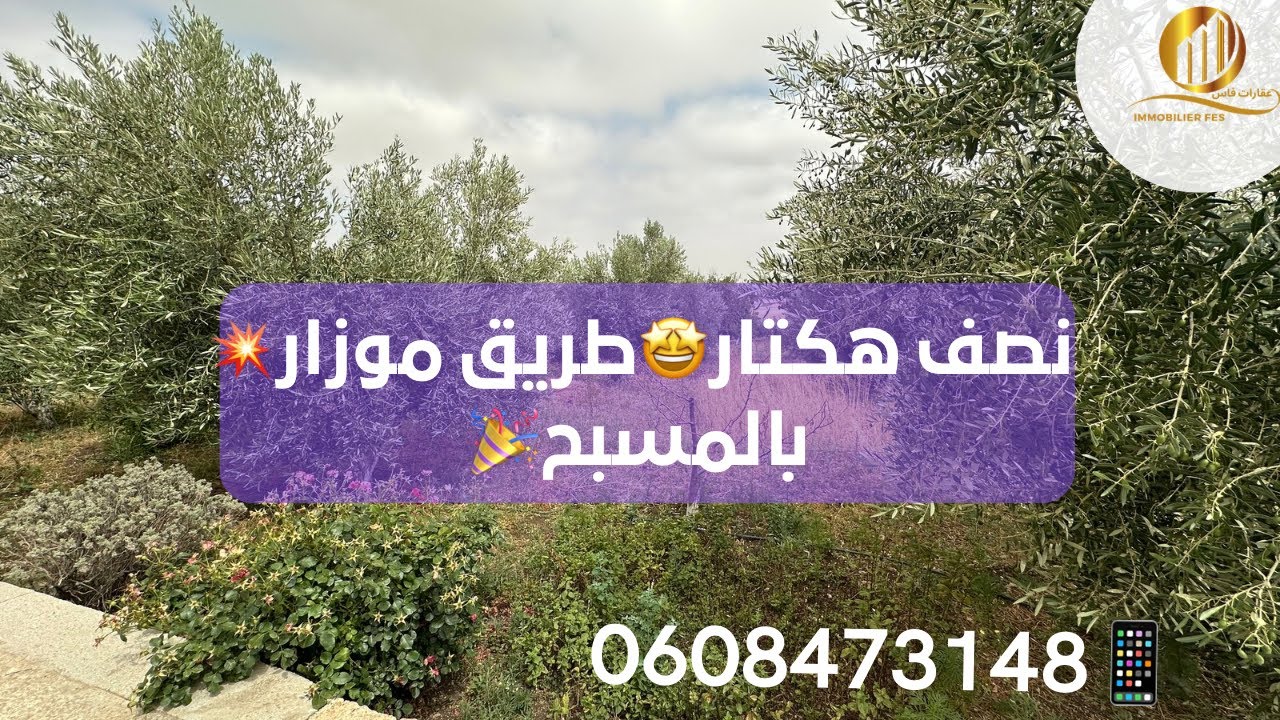 عرض ممتاز🤩نصف هكتار💥طريق موزار🎉عشاق السكن الخارجي🎉بالمسبح💥📱0608473148