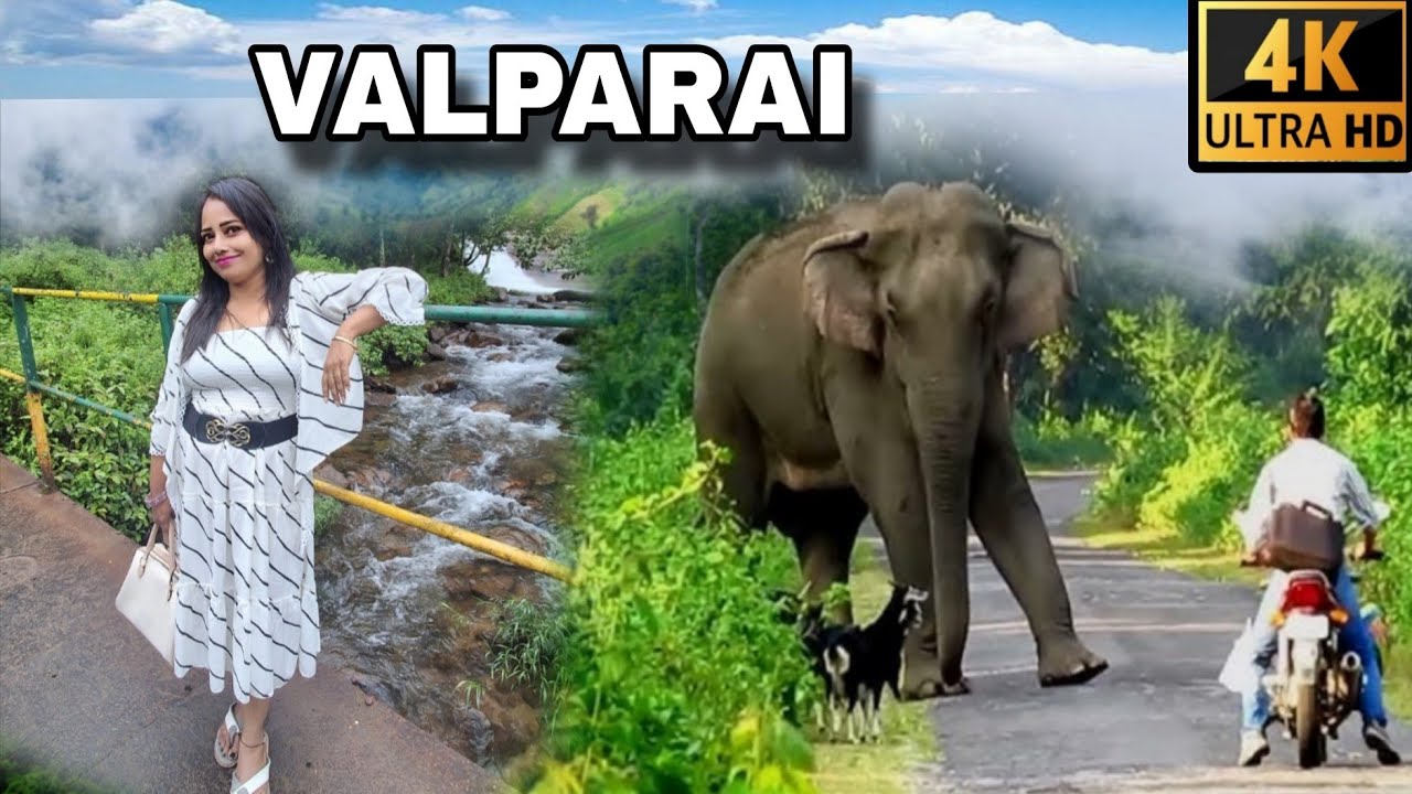 Valparai: The Hidden Hill Station You MUST Visit || Switzerland of South India