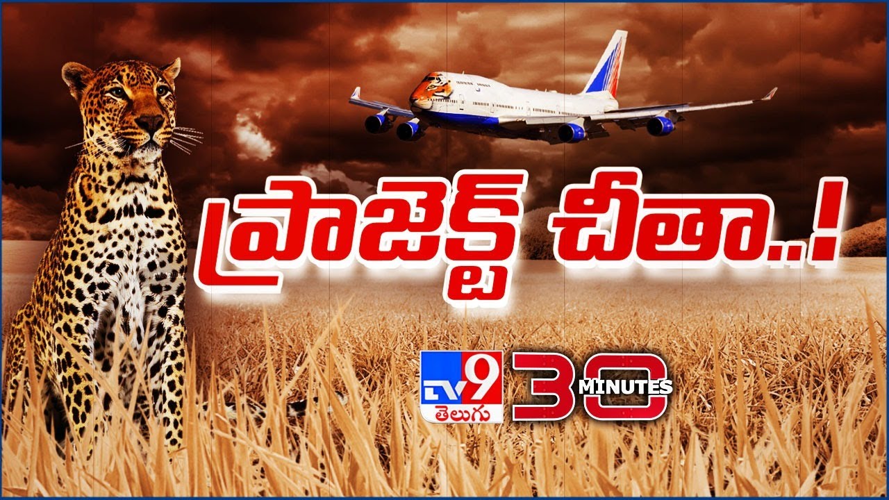 Project Cheetah - ప్రాజెక్ట్ చీతా ఖర్చు రూ.91 కోట్లు - 30 Minutes - TV9