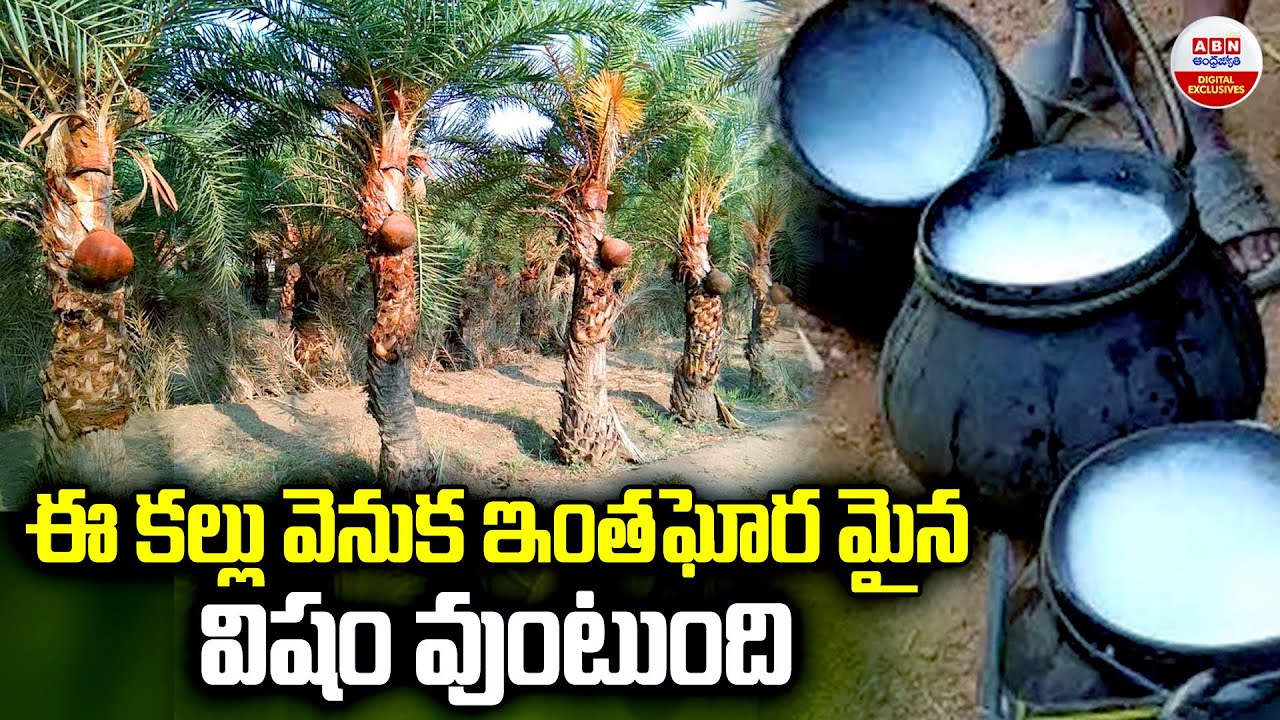 ఈ కల్లు వెనుక ఇంత ఘోరమైన విషం వుంటుంది || Health Issues Of Toddy (Kallu) | ABN Digital