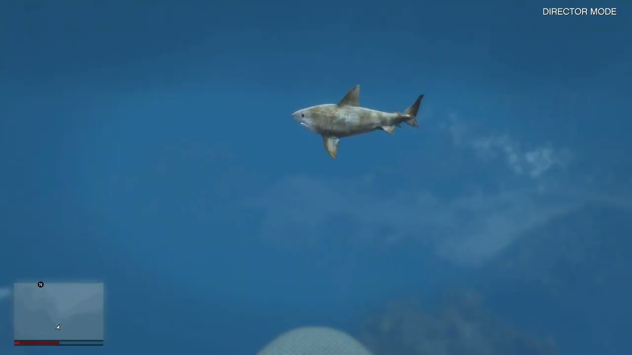 Diving in first person mode•GTA V