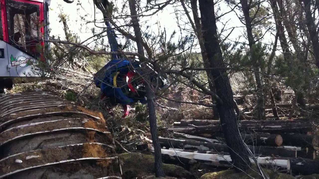 Timberpro 830 with Keto 500HD harvesting head
