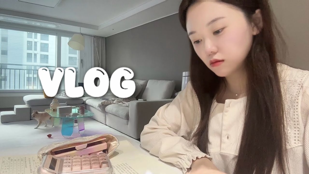 5급 공채 준비생의 자기관리 브이로그 I 테라피, 마음가짐, 나의 현 상태
