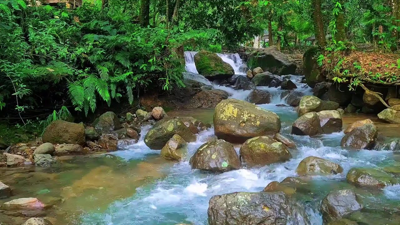 River White Noise for Sleep | Natural Water Flow to Calm Your Mind Tonight