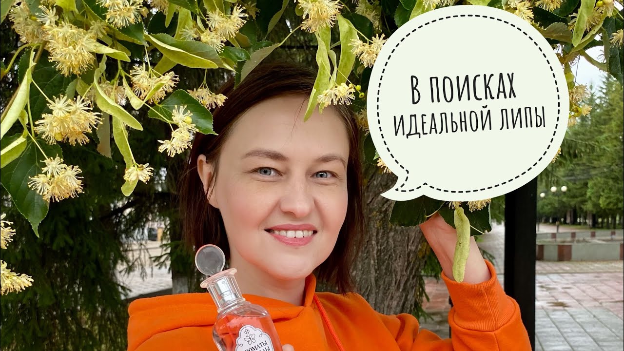 #44 Такая разная липа: от BROCARD до Tilia MAB