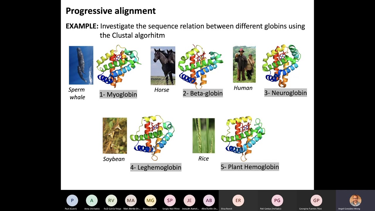 Multiple Sequence Alignment (MSA)