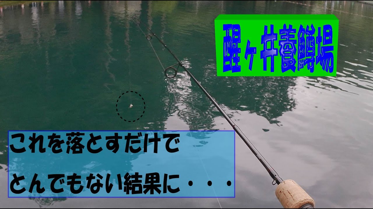 醒ヶ井養鱒場　2021年6月 12日　ペレっ太
