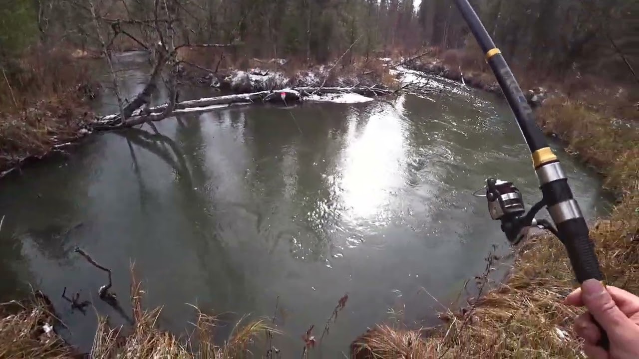 РЫБАЛКА на ХАРИУСА по первому снегу/ Труднопроходимая Речка по болоту/ Хариус клюёт из под коряг!!!