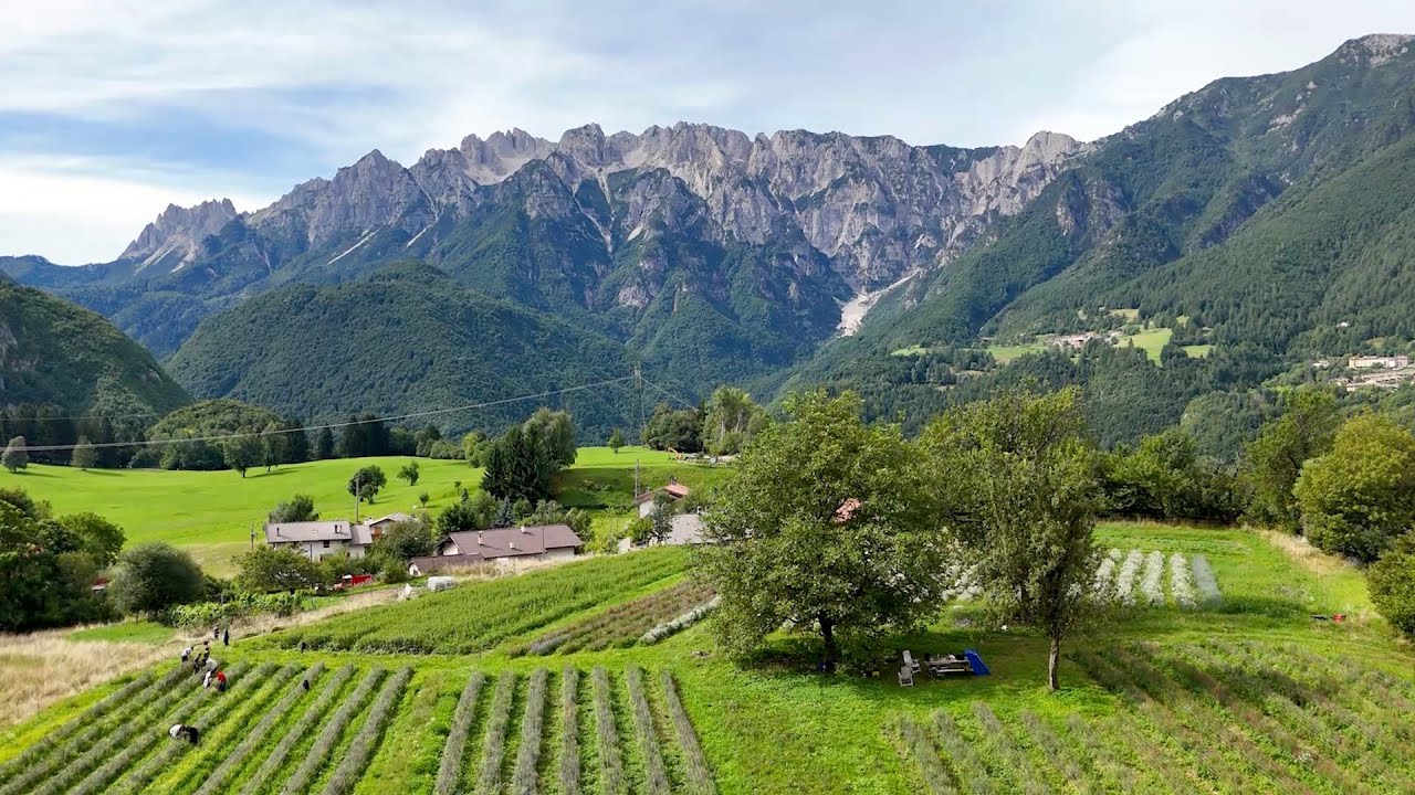 VALLARSA: UNA SPERANZA CHIAMATA AGRICOLTURA