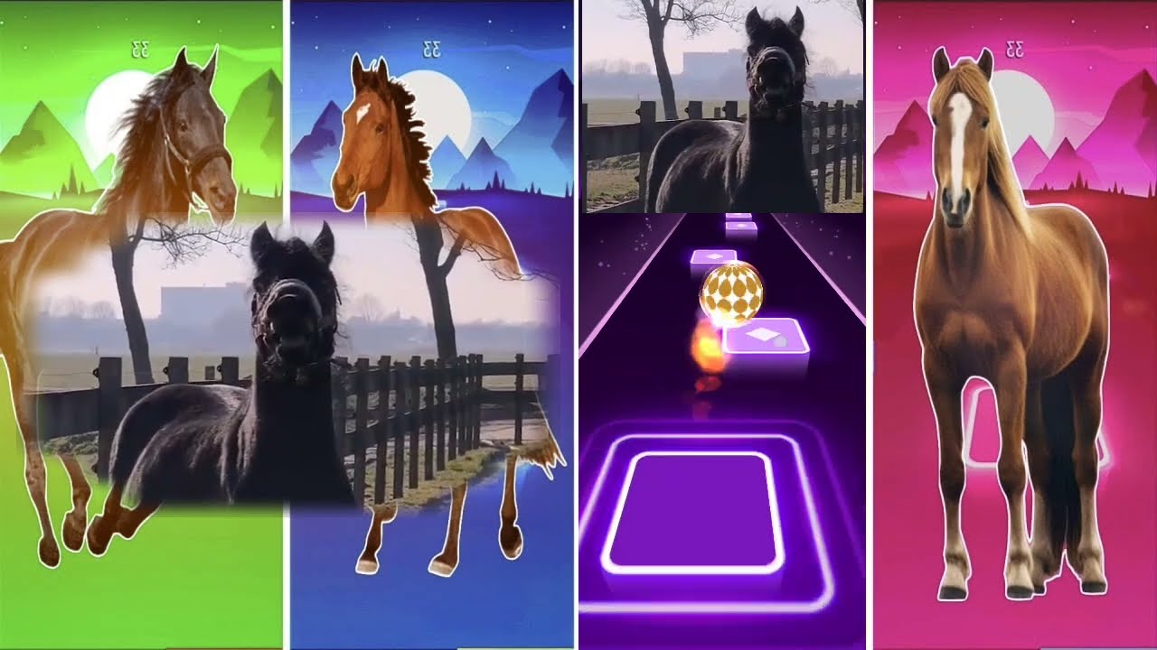 Funny  horse 1 Funny horse 2 Funny horse 3 funny horse 4 Tiles Hop #tileshop #coffindance #trending 