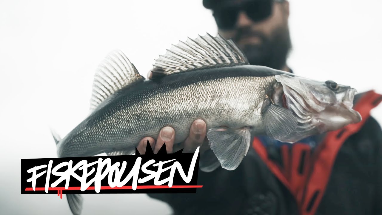 DUBBELPASS med FISKEPOLISEN - Br&auml;nner MONSTERG&Auml;DDA pga ingen tafs 😭