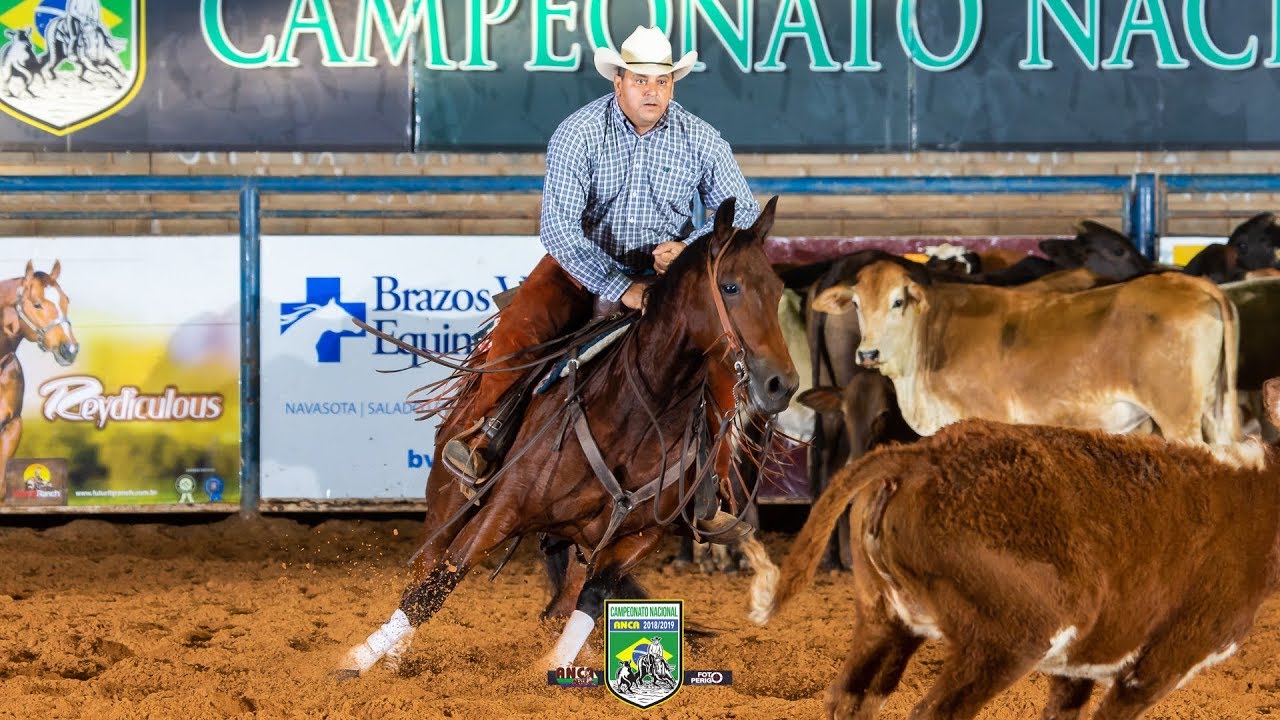 Campeonato Nacional ANCA 2018/2019 - Campeã Aberta Livre