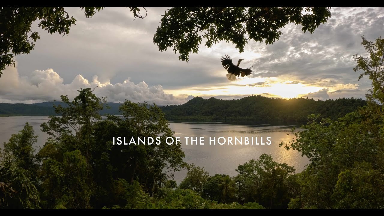 Islands of the Hornbills