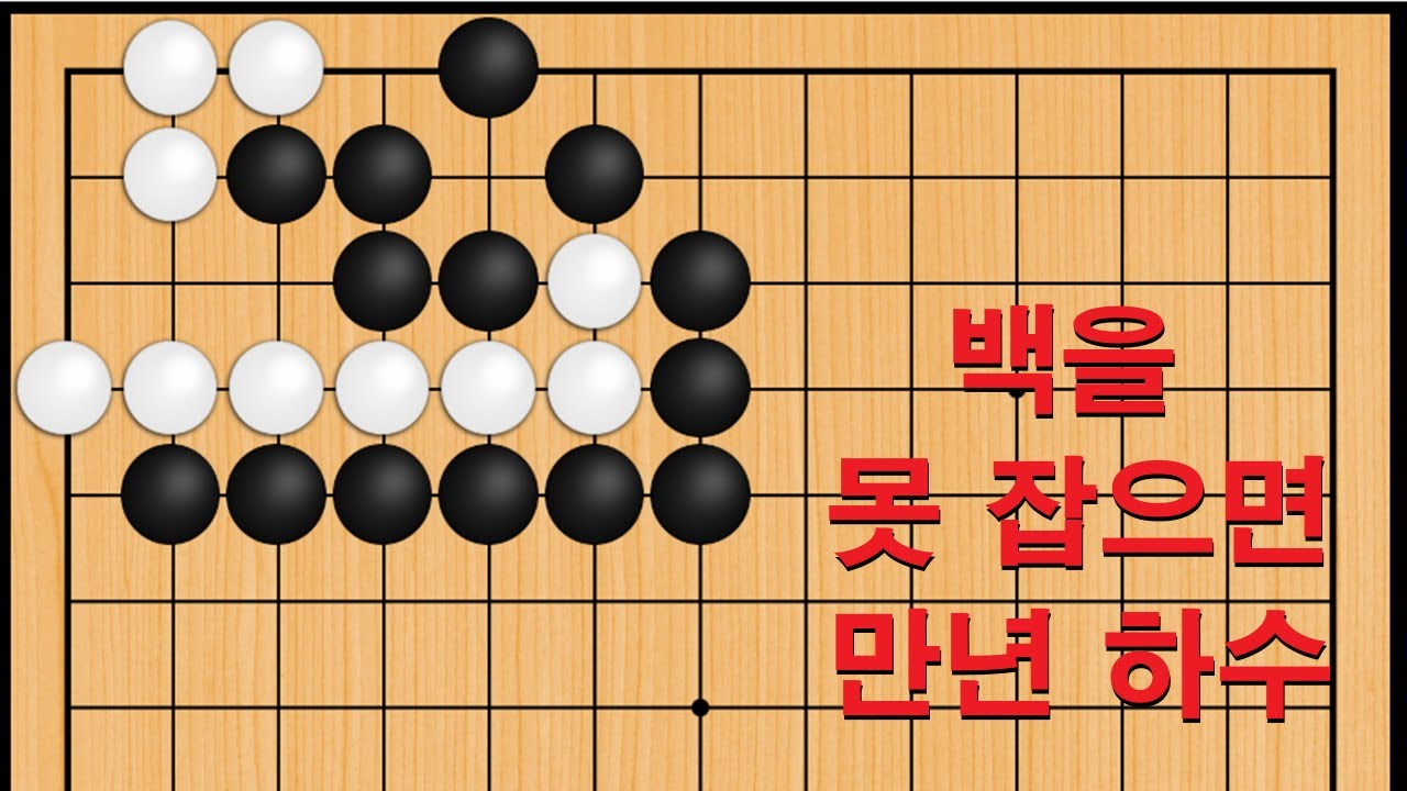 바둑 묘수 사활 - 백을 못 잡으면 만년 하수 입니다