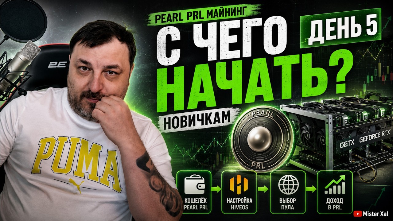 Pearl PRL. День 5 &mdash; новичкам: с чего начать майнинг
