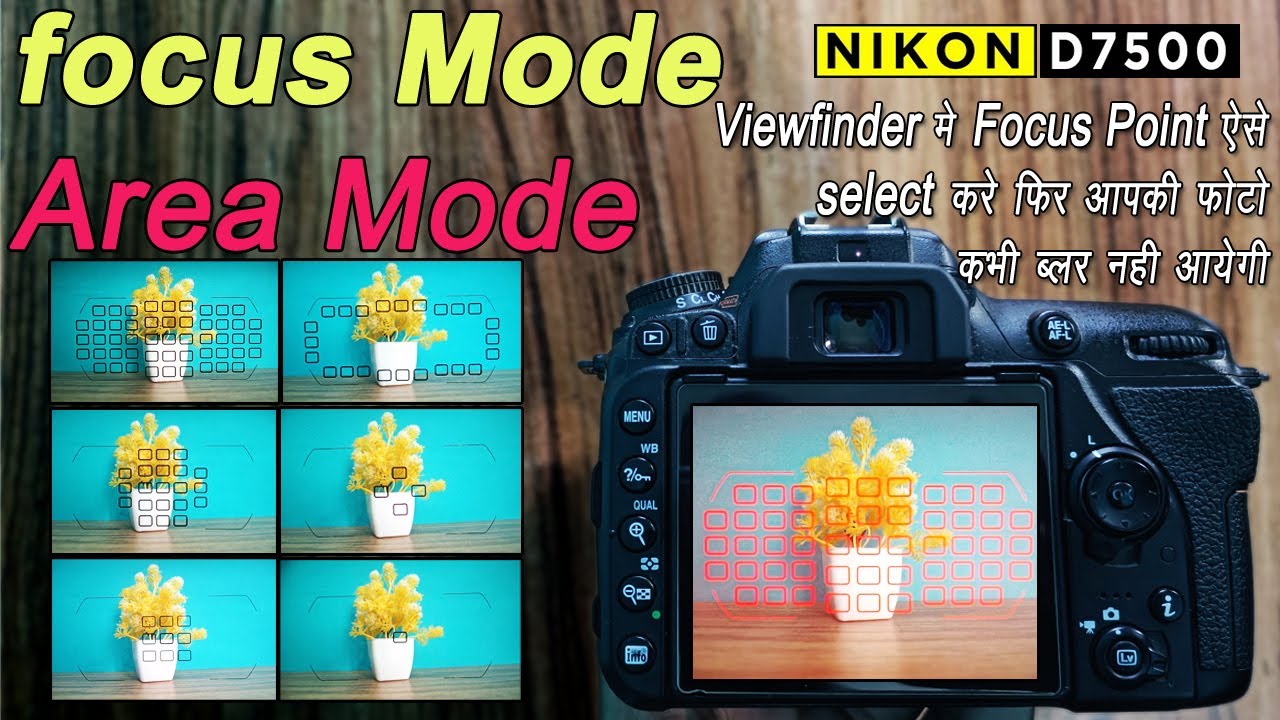 Nikon D7500 Focus Mode Settings / Nikon Camera Autofocus Setting