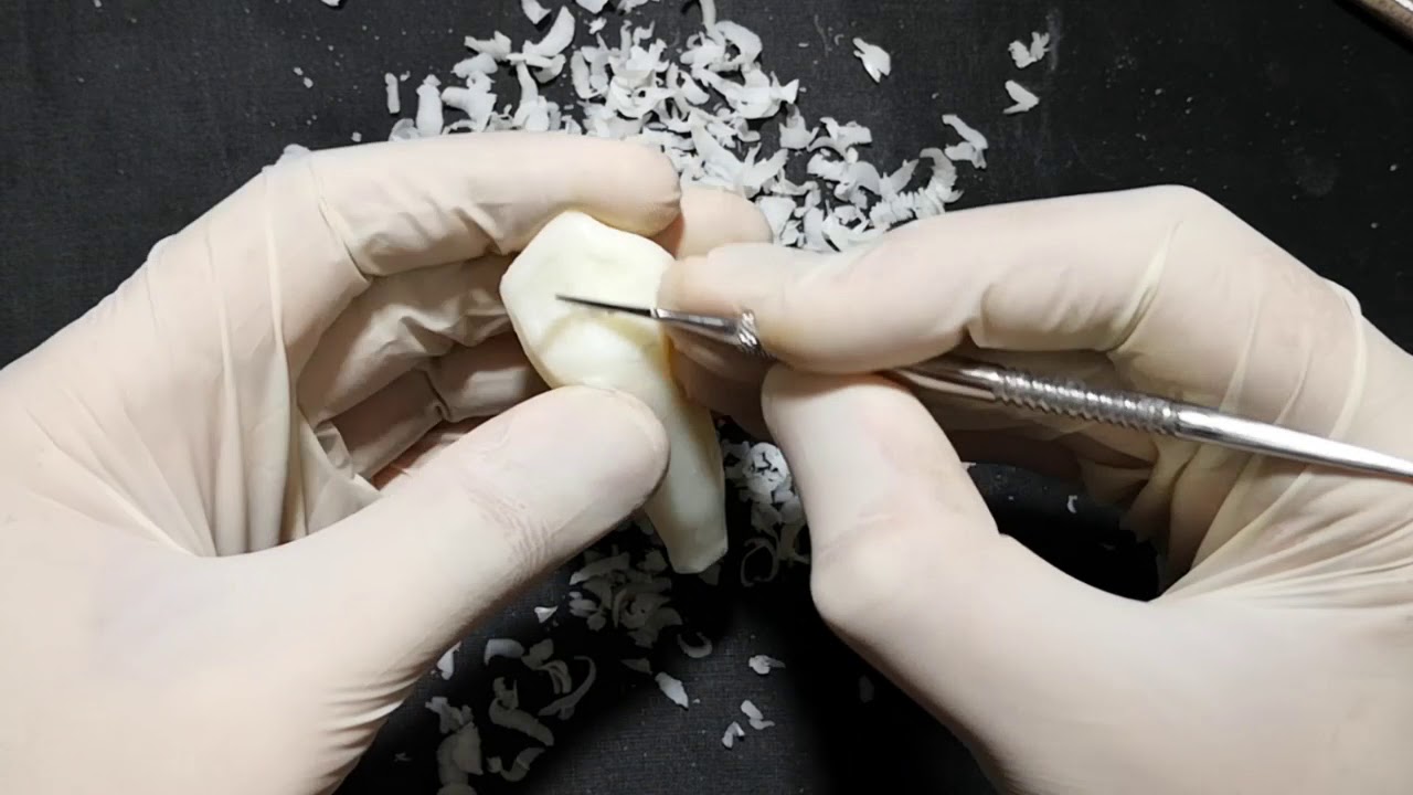 نحت ناب علوي