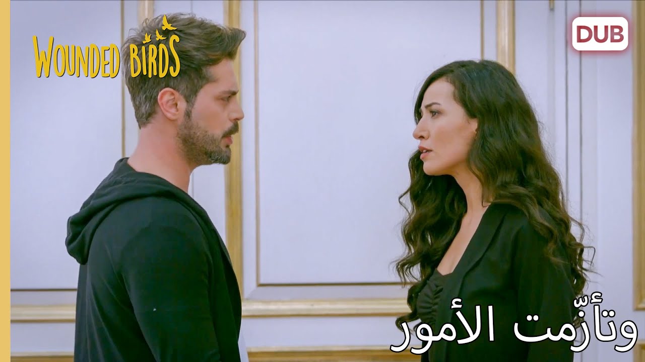 عابث!  |  الطيور الجريحة 183