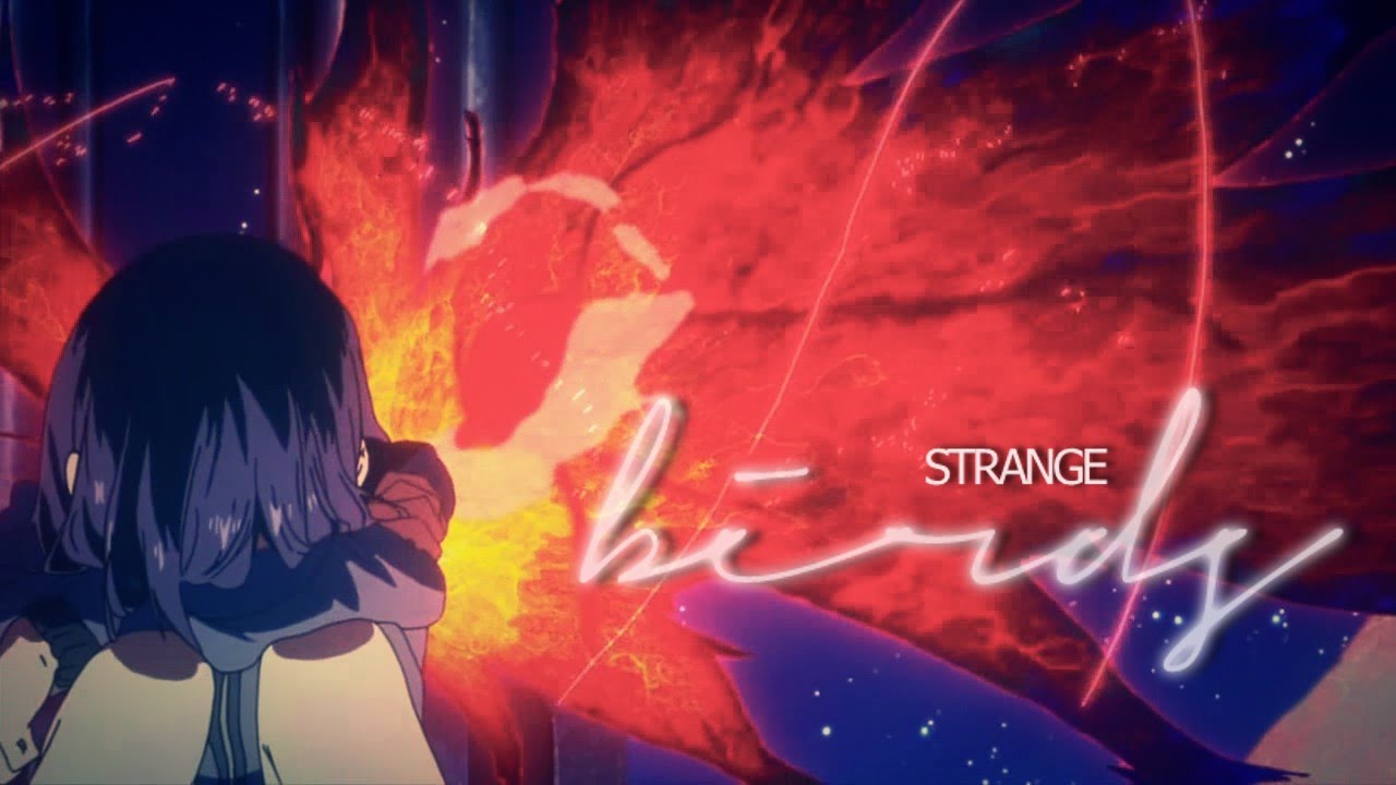 Strange birds [AMV]