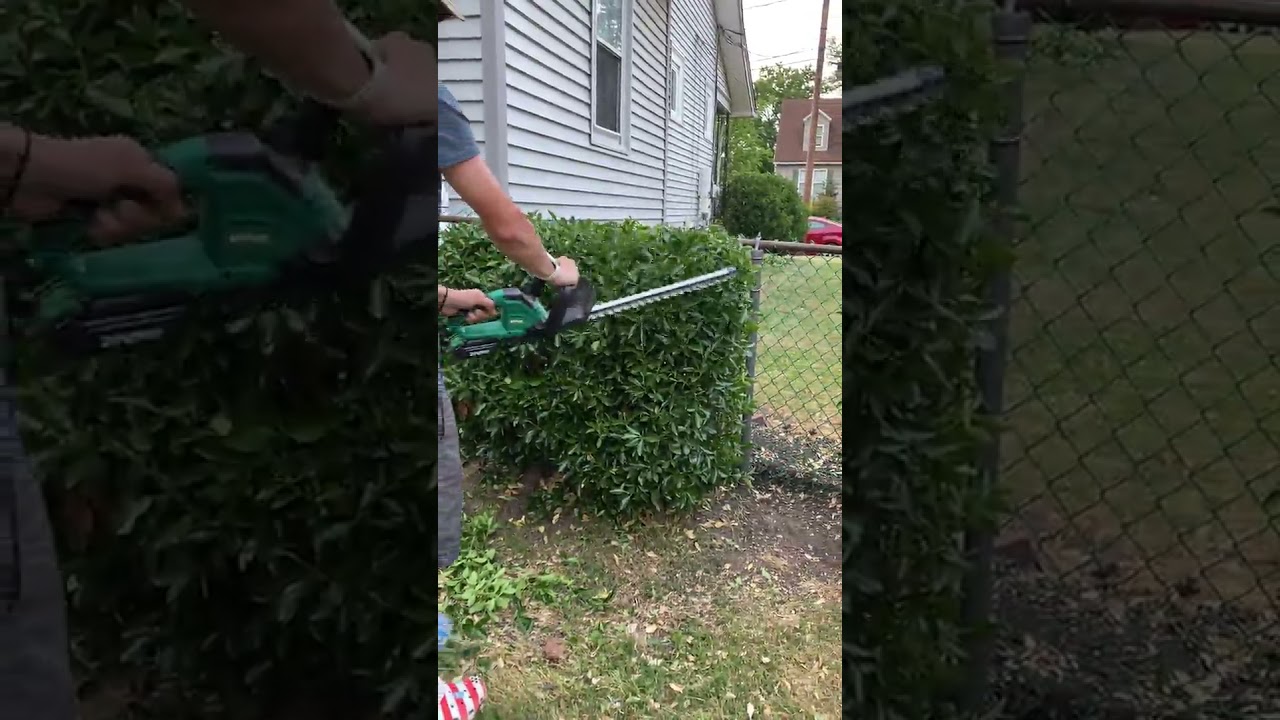 Hedge trimmers cordless with battery, Gets the job done!!!