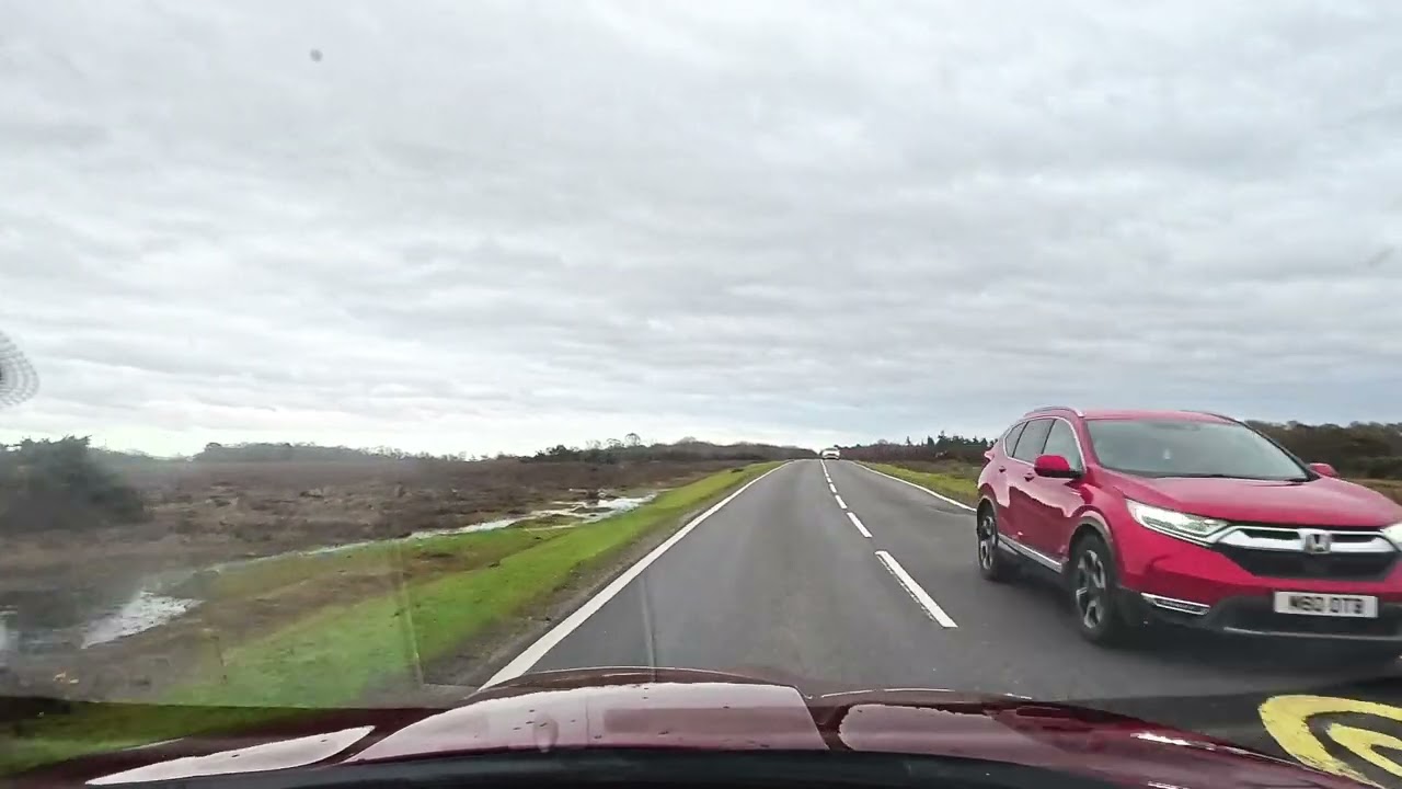 A Simple Soggy Drive through the New Forest