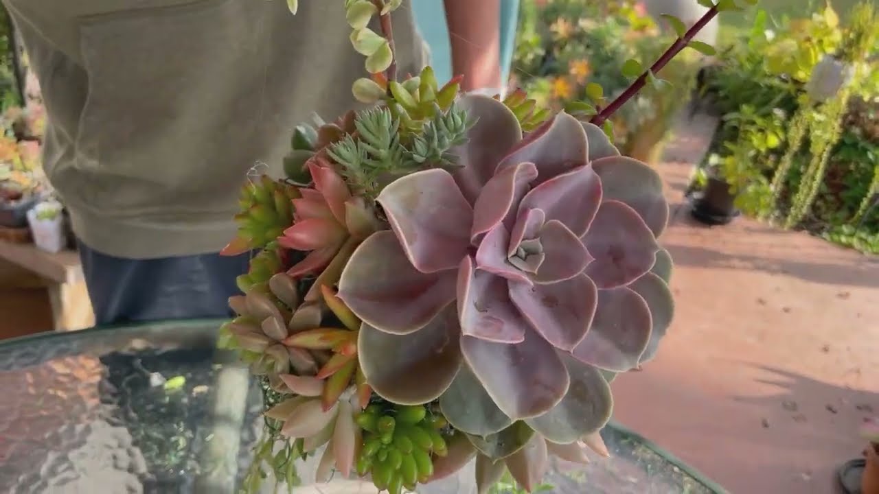 How To Make Succulent Wedding Centerpieces